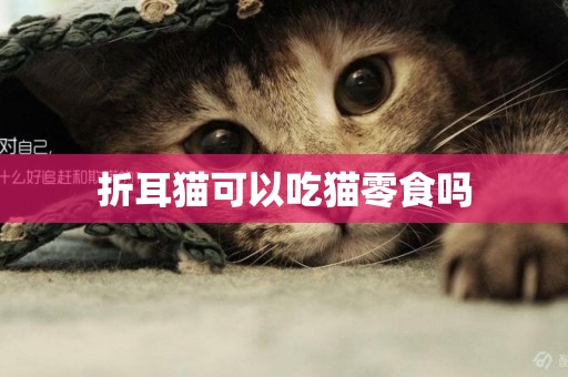 折耳貓可以吃貓零食嗎
