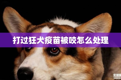 打過狂犬疫苗被咬怎么處理