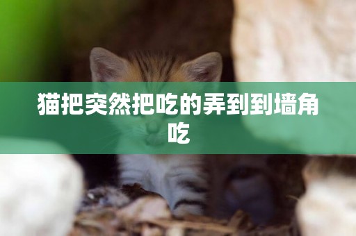 貓把突然把吃的弄到到墻角吃