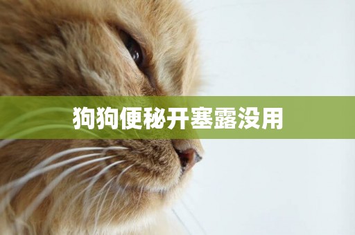 狗狗便秘開塞露沒用
