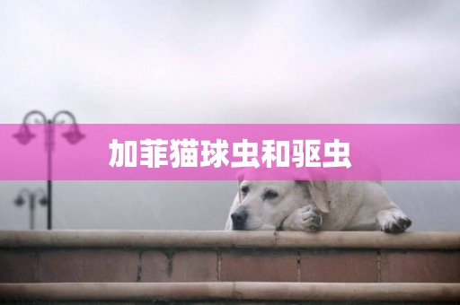 加菲貓球蟲和驅蟲
