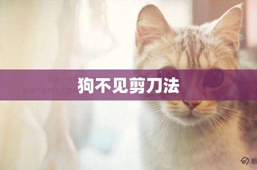 狗不見剪刀法