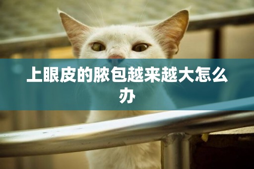 上眼皮的膿包越來越大怎么辦