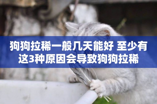 狗狗拉稀一般幾天能好 至少有這3種原因會導致狗狗拉稀
