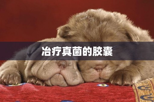 冶療真菌的膠囊