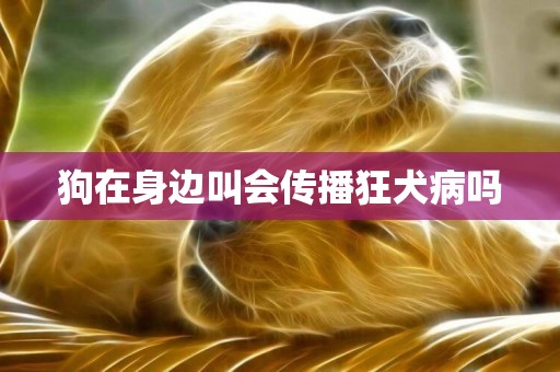 狗在身邊叫會傳播狂犬病嗎