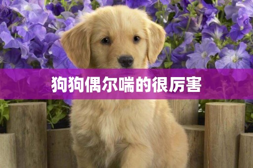 狗狗偶爾喘的很厲害