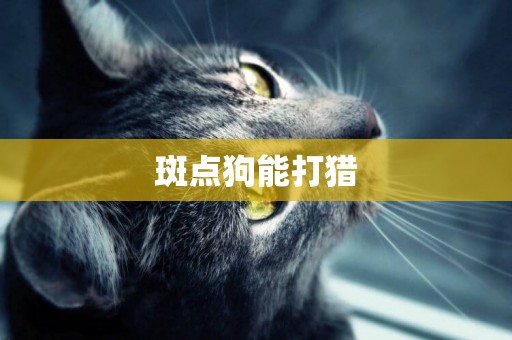 斑點狗能打獵