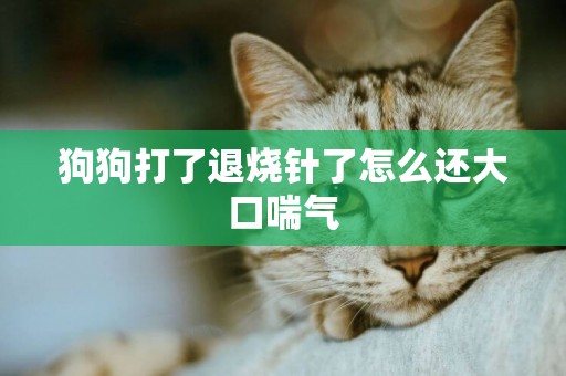狗狗打了退燒針了怎么還大口喘氣