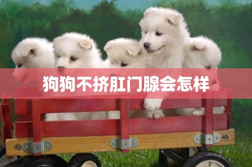狗狗不擠肛門腺會怎樣