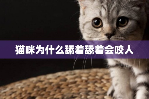 貓咪為什么舔著舔著會咬人