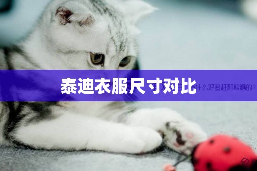 泰迪衣服尺寸對比