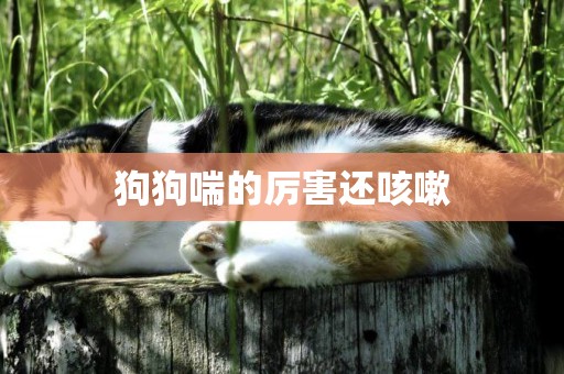 狗狗喘的厲害還咳嗽