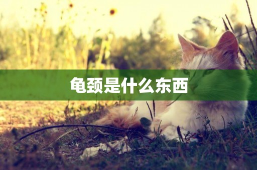 龜頸是什么東西
