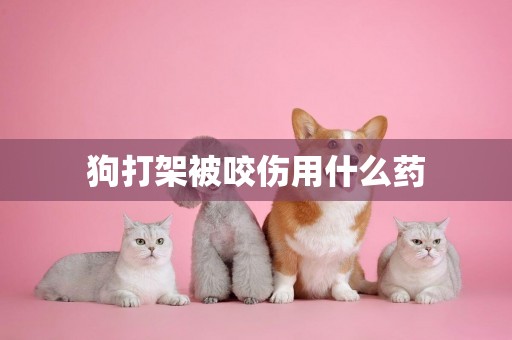 狗打架被咬傷用什么藥