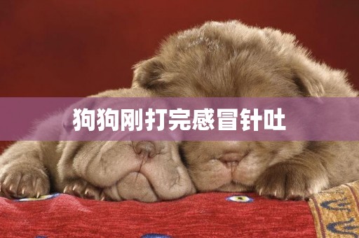 狗狗剛打完感冒針吐