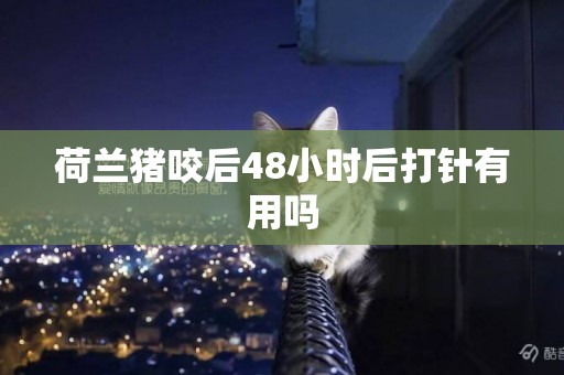 荷蘭豬咬后48小時后打針有用嗎