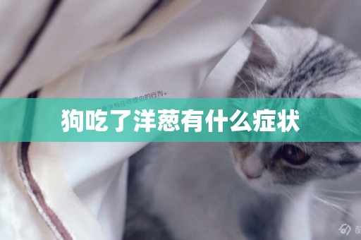 狗吃了洋蔥有什么癥狀