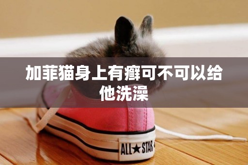 加菲貓身上有癬可不可以給他洗澡