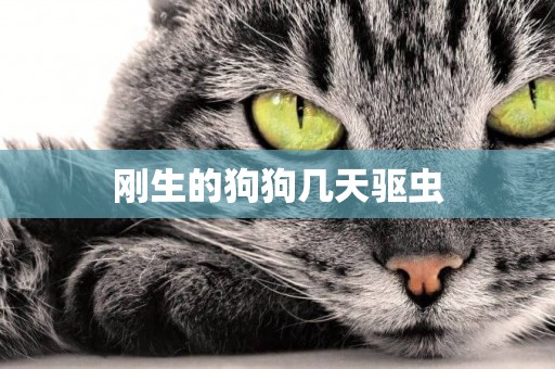 剛生的狗狗幾天驅蟲