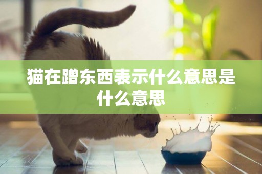 貓在蹭東西表示什么意思是什么意思