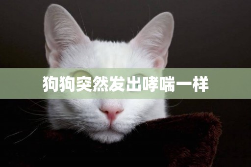狗狗突然發出哮喘一樣