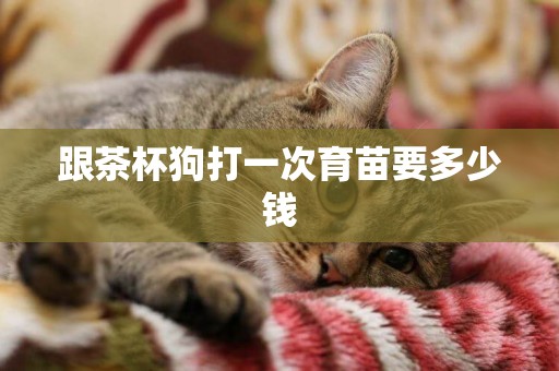 跟茶杯狗打一次育苗要多少錢