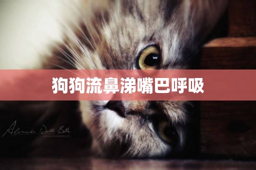 狗狗流鼻涕嘴巴呼吸