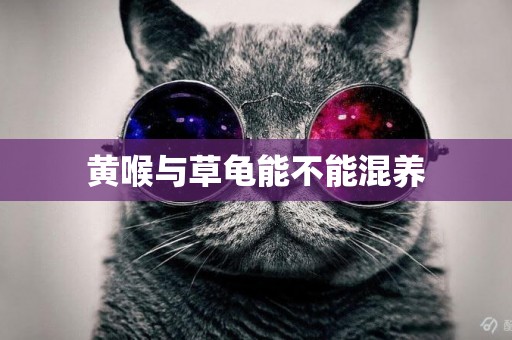 黃喉與草龜能不能混養