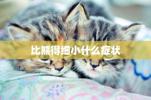 比熊得細小什么癥狀
