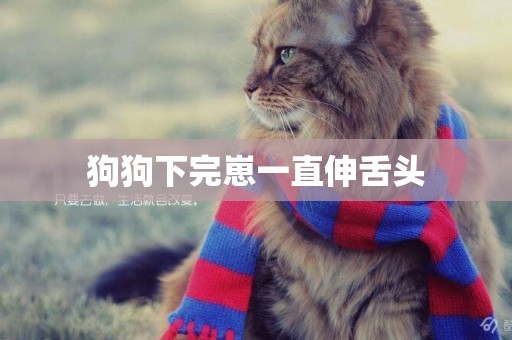 狗狗下完崽一直伸舌頭