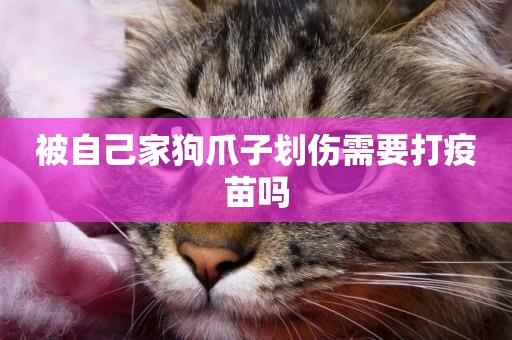 被自己家狗爪子劃傷需要打疫苗嗎