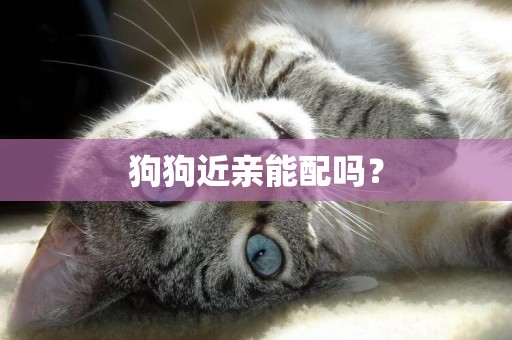 狗狗近親能配嗎？