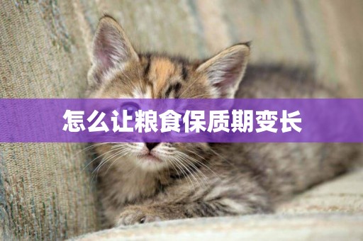 怎么讓糧食保質期變長