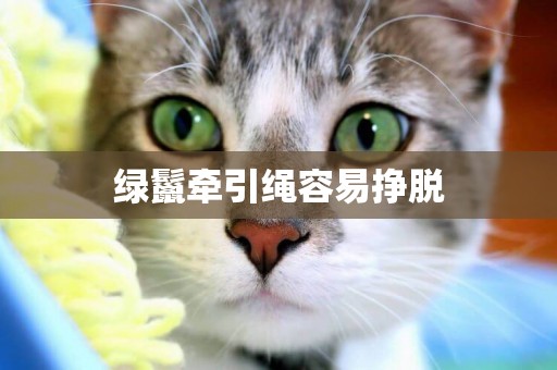 綠鬣牽引繩容易掙脫