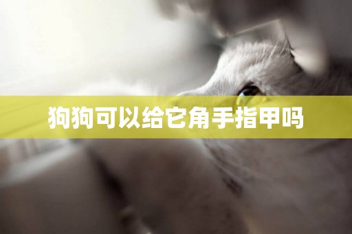 狗狗可以給它角手指甲嗎