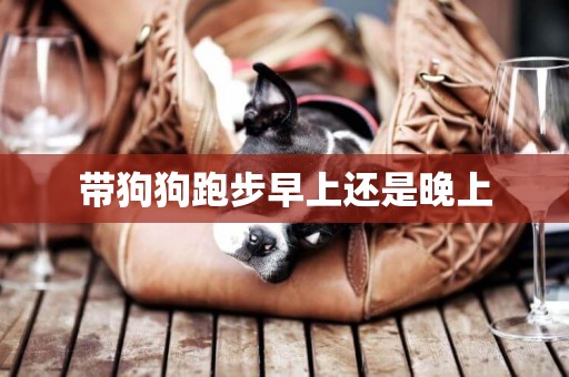 帶狗狗跑步早上還是晚上
