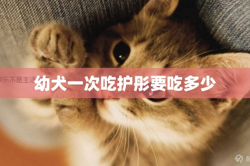 幼犬一次吃護彤要吃多少