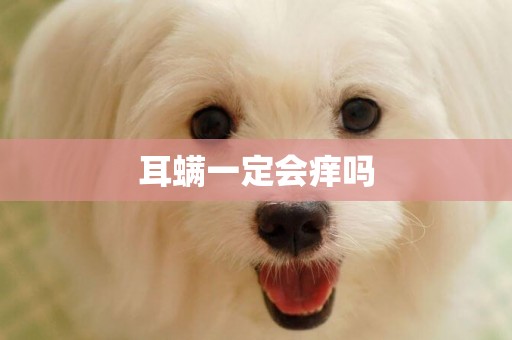 耳螨一定會癢嗎