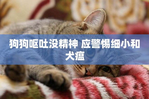 狗狗嘔吐沒精神 應警惕細小和犬瘟