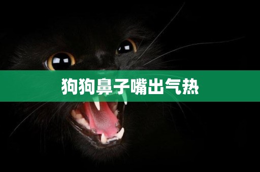 狗狗鼻子嘴出氣熱