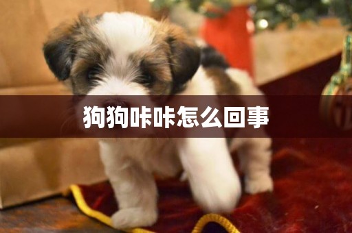 狗狗咔咔怎么回事