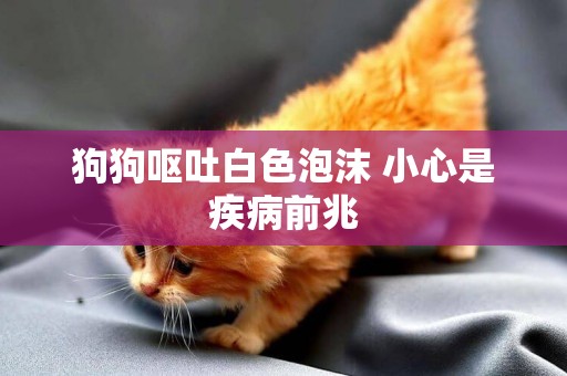 狗狗嘔吐白色泡沫 小心是疾病前兆