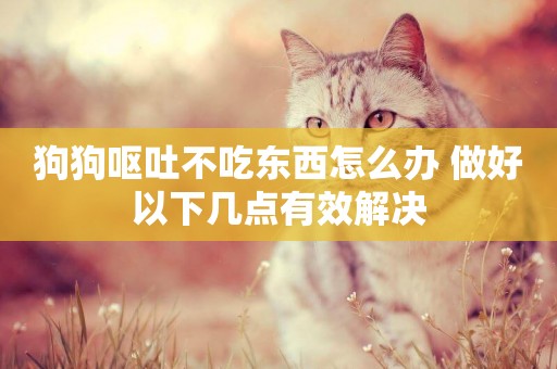 狗狗嘔吐不吃東西怎么辦 做好以下幾點有效解決