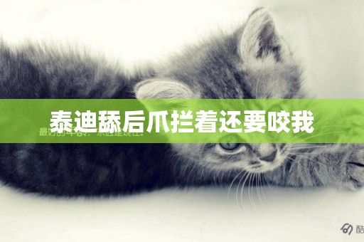 泰迪舔后爪攔著還要咬我