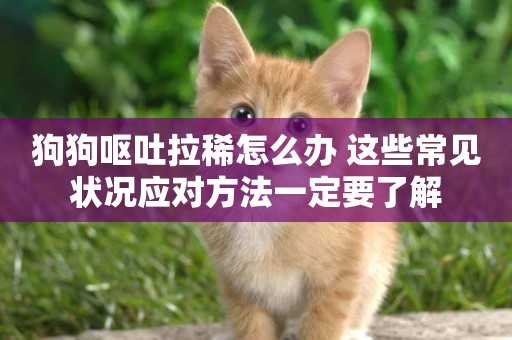 狗狗嘔吐拉稀怎么辦 這些常見狀況應對方法一定要了解