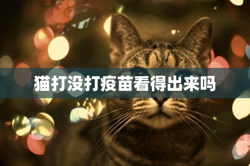 貓打沒打疫苗看得出來嗎
