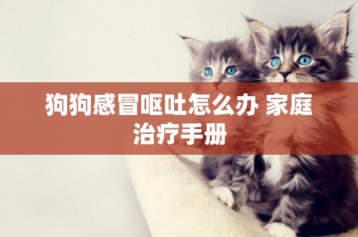 狗狗感冒嘔吐怎么辦 家庭治療手冊