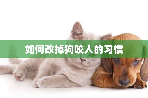 如何改掉狗咬人的習慣