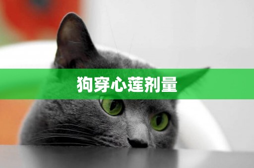 狗穿心蓮劑量
